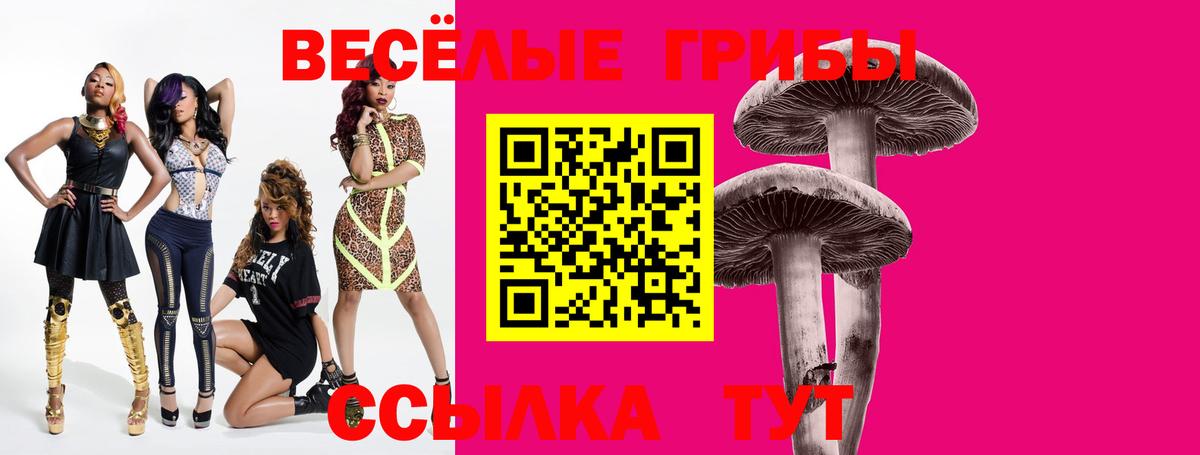 Галлюциногенные грибы Psilocybine cubensis  Вход с VPN  Сосновоборск 
